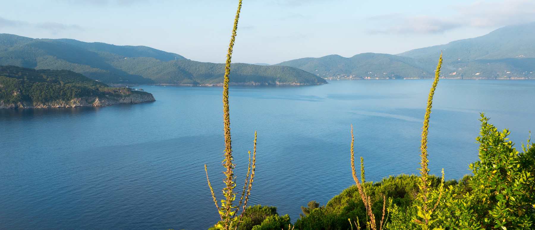 Camping Enfola Isola Delba è Ideale Per Fare Snorkelling